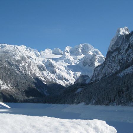 Appartement Alpenblick โกเซา ภายนอก รูปภาพ