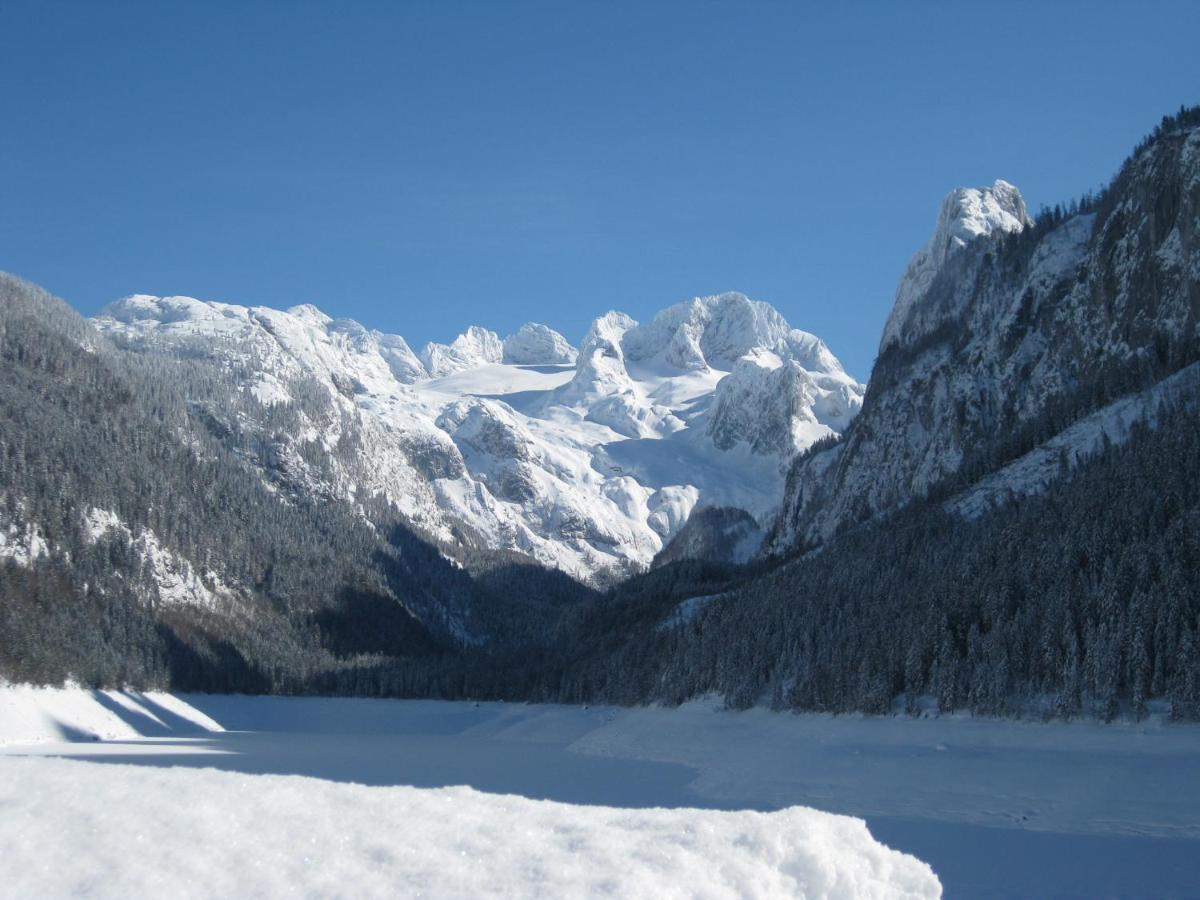 Appartement Alpenblick โกเซา ภายนอก รูปภาพ