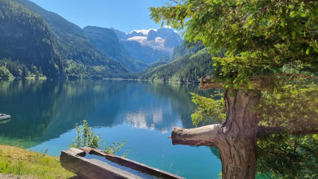 Appartement Alpenblick โกเซา ภายนอก รูปภาพ